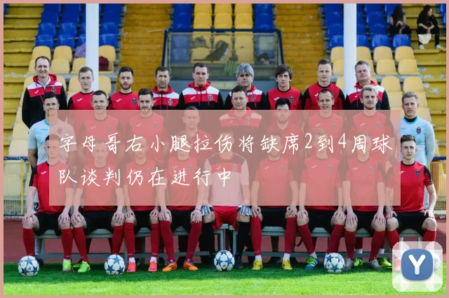 字母哥右小腿拉伤将缺席2到4周球队谈判仍在进行中