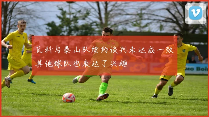 瓦科与泰山队续约谈判未达成一致其他球队也表达了兴趣